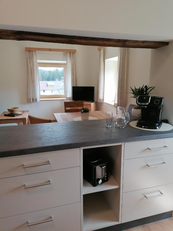 Appartement Riesenbauer à Zeutschach Extérieur photo